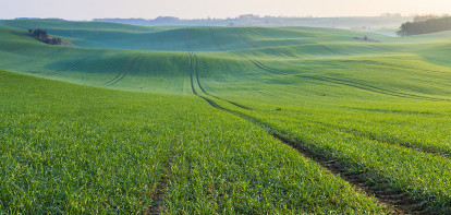 akkerbouw grond Duitsland tarwe - agri graan - agri