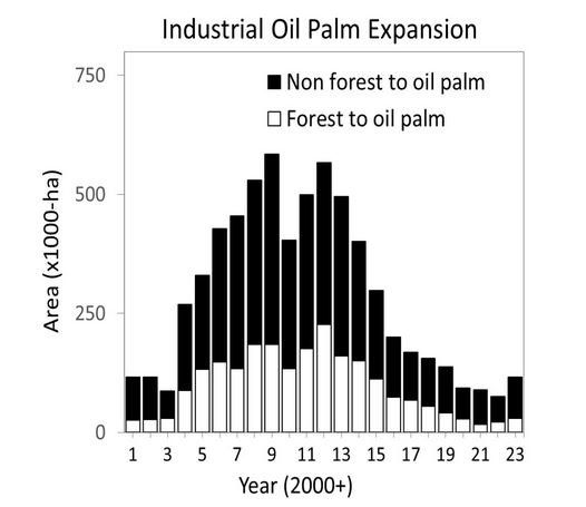 palmpla