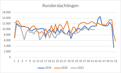rundslacht
