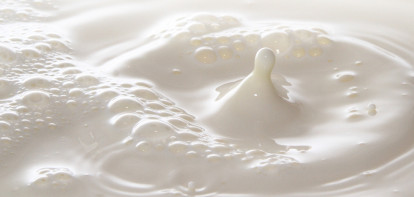 melk zuivel melkveebedrijf zuivelverwerking