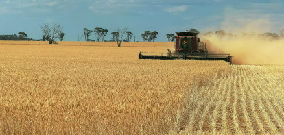 tarweoogst australie oogsten tarwe - agri