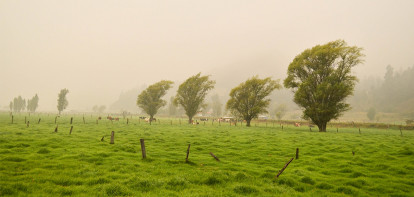 regen storm