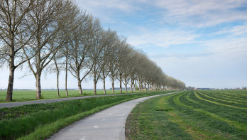 Grasoogst op het land, waarbij gras wordt gemaaid voor ruwvoer.