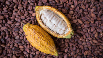 Cacao laat dieptepunt voor nu achter zich
