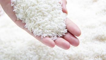 Hoe presteerde rijst in coronajaar 2021? 
