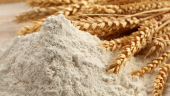 bakkerijgrondstoffen tarwe - food