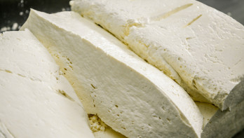 Industriële kaasproductie in een zuivelfabriek