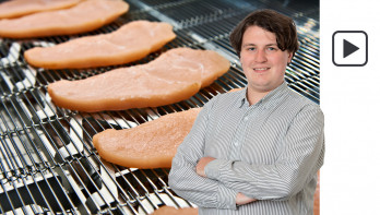 Pluimveevlees