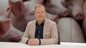 Laurens Hoedemaker