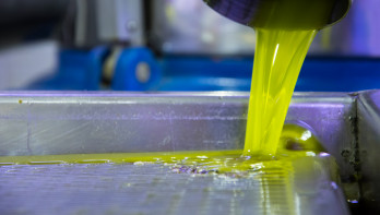 Productie van eetbare oliën in een industriële verwerkingsfabriek.