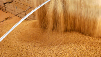 Hoop sojabonen opgestapeld voor opslag