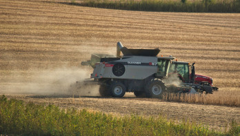 Stoffige combine oogst sojabonen bij Sioux Center, Iowa