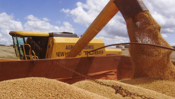 Oogst sojabonen in Brazilië