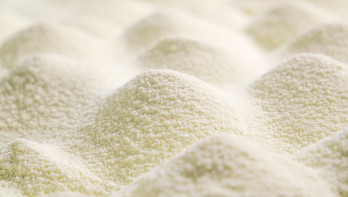 Droge melkpoeder, zuivelproduct
