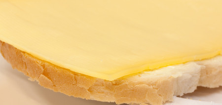 melk zuivel melkveebedrijf kaas