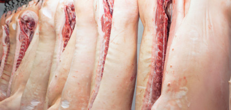 slachterij varkensvlees varkens - agri