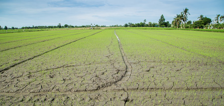 droogte Verenigde Staten