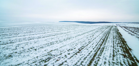 winter sneeuw canada