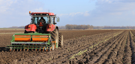 zaaien zomertarwe graan - agri