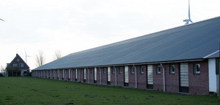 varkenshouderij