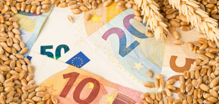 euro tarwe - agri