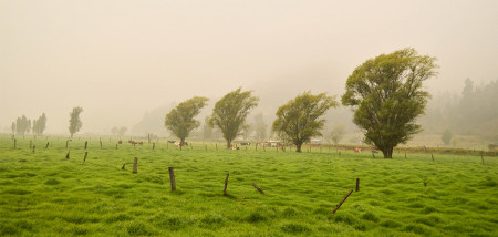 regen storm