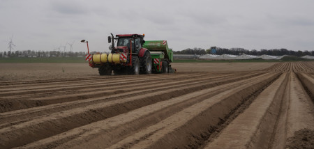 aardappelen Polen aardappelen poten