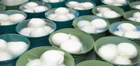 mozzarella foodbusiness