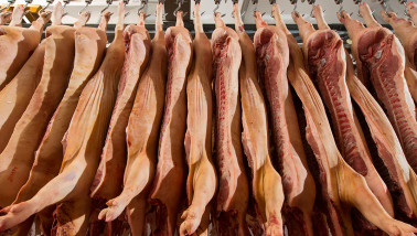 Varkenskarkassen hangen in een slachthuis klaar voor verwerking