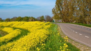 natuur Gelderland