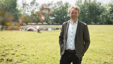 De Groene Weg Ron Lenferink