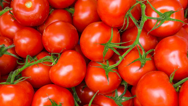 groente Tomaten