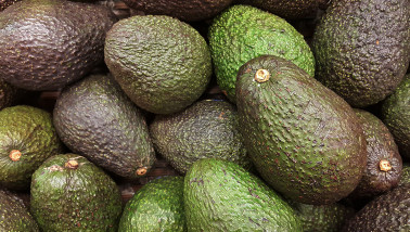 avocado