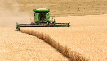 graanoogst combine tarweoogst Verenigde Staten