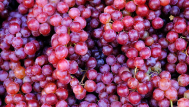 fruit Druiven