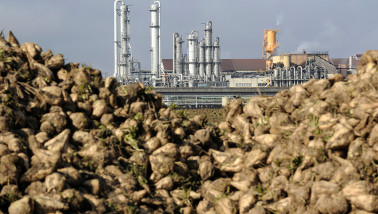 suikerbieten suikerfabriek