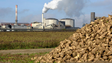 suikerbieten frankrijk suikerfabriek