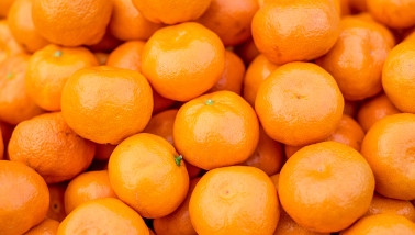 fruit citrusfruit