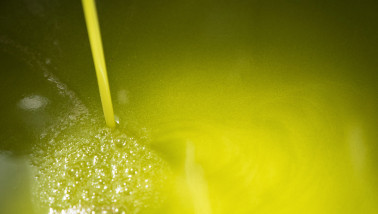 Productie van olijfolie