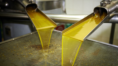 Productie van olijfolie daalt door klimaatverandering