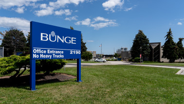 Bunge