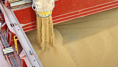 Graan dat wordt geladen in een vrachtschip voor transport over water.