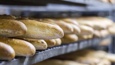 Productie van stokbrood in een bakkerij