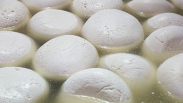 kaas mozzarella