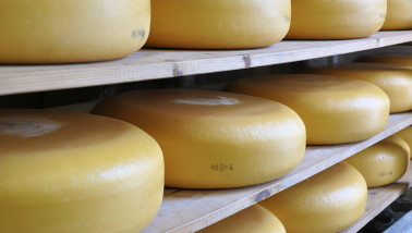 Kazen rijpen op traditionele houten planken