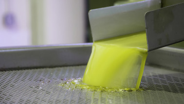 Productie van olijfolie