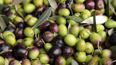 Productie van olijfolie