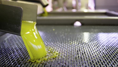 Productie van olijfolie, eetbare olie