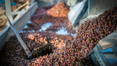 Koffiebonen in close-up
