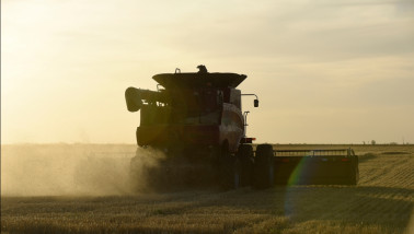 combine tarweoogst ArgentiniÃ«